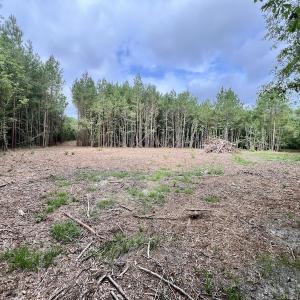 Photo #12 of Off Boss McLawhorn Rd, Grifton, NC 25.2 acres