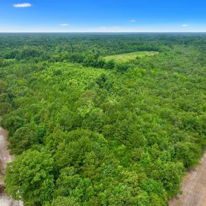 Photo #13 of Off Boss McLawhorn Rd, Grifton, NC 25.2 acres