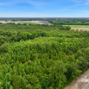 Photo #14 of Off Boss McLawhorn Rd, Grifton, NC 25.2 acres
