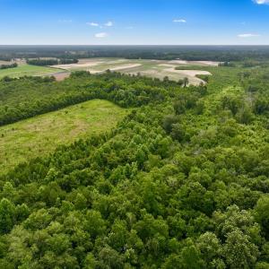 Photo #15 of Off Boss McLawhorn Rd, Grifton, NC 25.2 acres