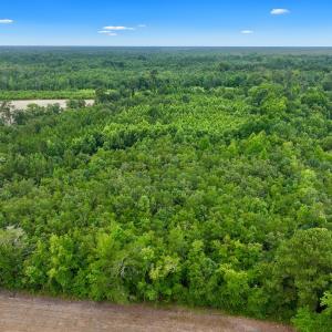 Photo #16 of Off Boss McLawhorn Rd, Grifton, NC 25.2 acres