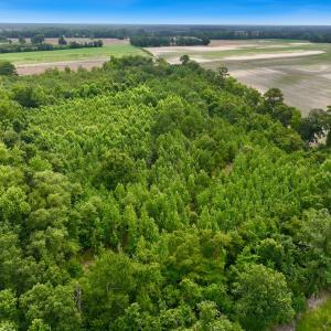 Photo #17 of Off Boss McLawhorn Rd, Grifton, NC 25.2 acres