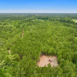 Photo #18 of Off Boss McLawhorn Rd, Grifton, NC 25.2 acres