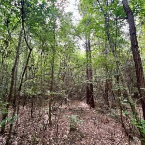 Photo #19 of Off Boss McLawhorn Rd, Grifton, NC 25.2 acres