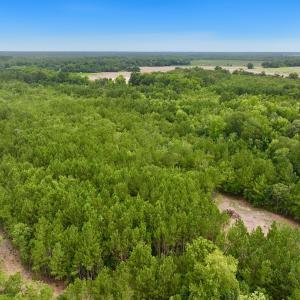 Photo #1 of Off Boss McLawhorn Rd, Grifton, NC 25.2 acres