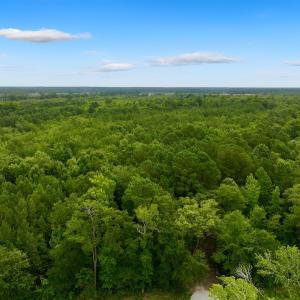 Photo #2 of Off Boss McLawhorn Rd, Grifton, NC 25.2 acres