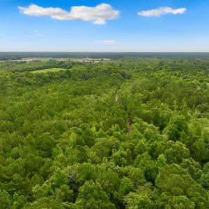 Photo #3 of Off Boss McLawhorn Rd, Grifton, NC 25.2 acres