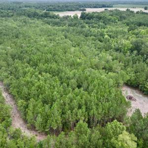 Photo #4 of Off Boss McLawhorn Rd, Grifton, NC 25.2 acres