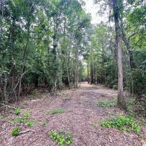 Photo #6 of Off Boss McLawhorn Rd, Grifton, NC 25.2 acres