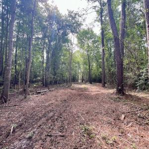 Photo #7 of Off Boss McLawhorn Rd, Grifton, NC 25.2 acres