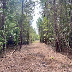 Photo #8 of Off Boss McLawhorn Rd, Grifton, NC 25.2 acres
