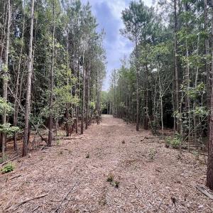 Photo #9 of Off Boss McLawhorn Rd, Grifton, NC 25.2 acres