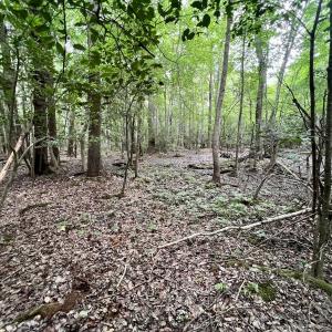 Photo #22 of Off Boss McLawhorn Rd, Grifton, NC 25.2 acres