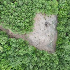 Photo #23 of Off Boss McLawhorn Rd, Grifton, NC 25.2 acres
