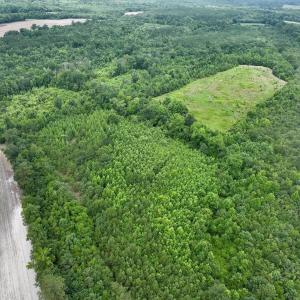 Photo #24 of Off Boss McLawhorn Rd, Grifton, NC 25.2 acres