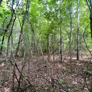 Photo #28 of Off Boss McLawhorn Rd, Grifton, NC 25.2 acres