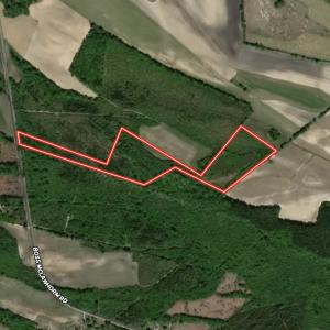 Photo #31 of Off Boss McLawhorn Rd, Grifton, NC 25.2 acres