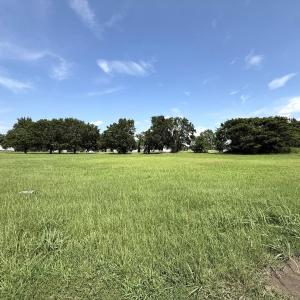 Photo #15 of Off Fox Run Drive, Pikeville, NC 0.6 acres