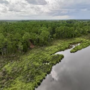 Photo #11 of 337 Pamlico Beach Rd, Belhaven, NC 1.8 acres