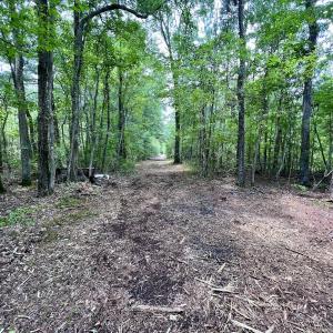 Photo #12 of 337 Pamlico Beach Rd, Belhaven, NC 1.8 acres