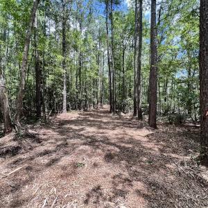 Photo #13 of 337 Pamlico Beach Rd, Belhaven, NC 1.8 acres