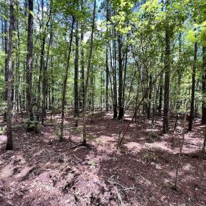 Photo #15 of 337 Pamlico Beach Rd, Belhaven, NC 1.8 acres