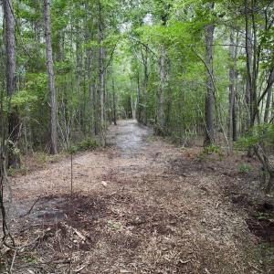 Photo #17 of 337 Pamlico Beach Rd, Belhaven, NC 1.8 acres