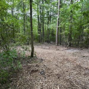 Photo #18 of 337 Pamlico Beach Rd, Belhaven, NC 1.8 acres