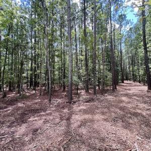 Photo #19 of 337 Pamlico Beach Rd, Belhaven, NC 1.8 acres