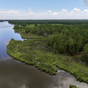 Photo #1 of 337 Pamlico Beach Rd, Belhaven, NC 1.8 acres