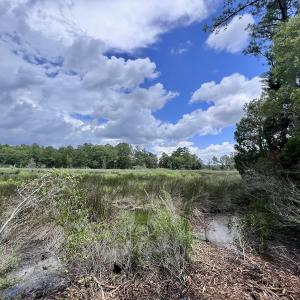 Photo #20 of 337 Pamlico Beach Rd, Belhaven, NC 1.8 acres