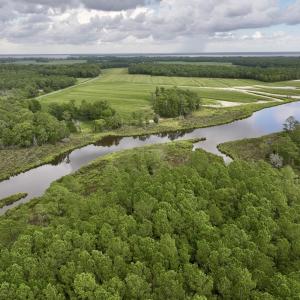 Photo #4 of 337 Pamlico Beach Rd, Belhaven, NC 1.8 acres
