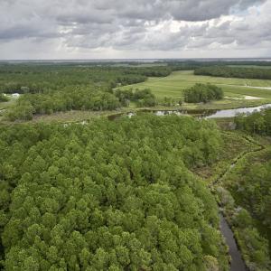 Photo #5 of 337 Pamlico Beach Rd, Belhaven, NC 1.8 acres