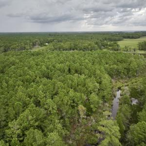 Photo #6 of 337 Pamlico Beach Rd, Belhaven, NC 1.8 acres