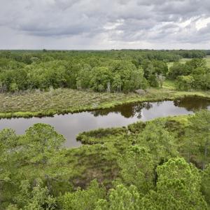 Photo #8 of 337 Pamlico Beach Rd, Belhaven, NC 1.8 acres