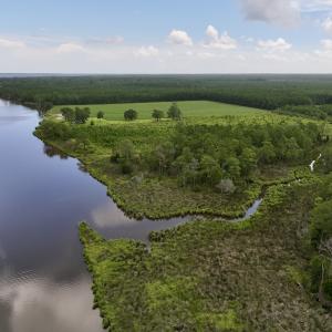 Photo #9 of 337 Pamlico Beach Rd, Belhaven, NC 1.8 acres