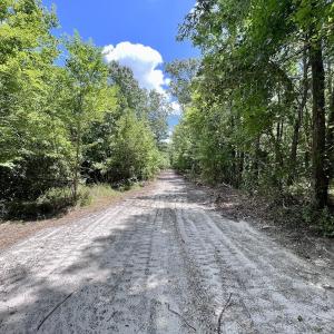 Photo #21 of 337 Pamlico Beach Rd, Belhaven, NC 1.8 acres