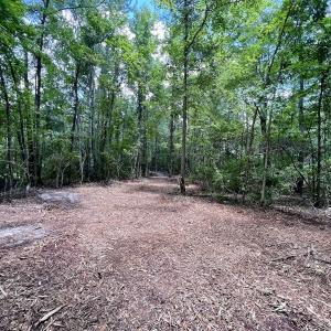 Photo #23 of 337 Pamlico Beach Rd, Belhaven, NC 1.8 acres