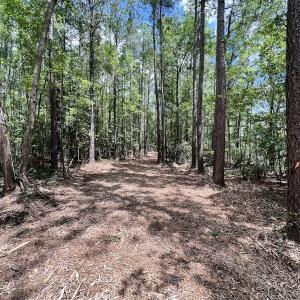 Photo #24 of 337 Pamlico Beach Rd, Belhaven, NC 1.8 acres