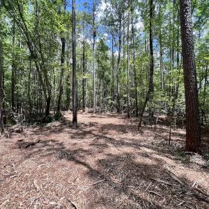 Photo #26 of 337 Pamlico Beach Rd, Belhaven, NC 1.8 acres