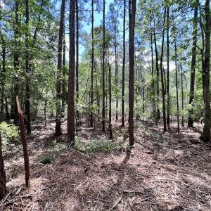 Photo #27 of 337 Pamlico Beach Rd, Belhaven, NC 1.8 acres