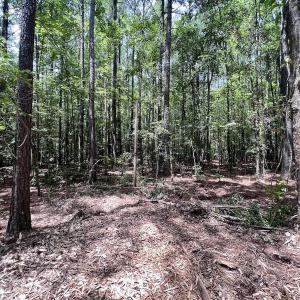 Photo #28 of 337 Pamlico Beach Rd, Belhaven, NC 1.8 acres