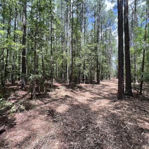 Photo #29 of 337 Pamlico Beach Rd, Belhaven, NC 1.8 acres