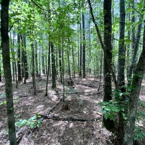 Photo #31 of 337 Pamlico Beach Rd, Belhaven, NC 1.8 acres