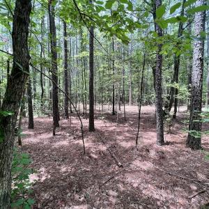 Photo #32 of 337 Pamlico Beach Rd, Belhaven, NC 1.8 acres