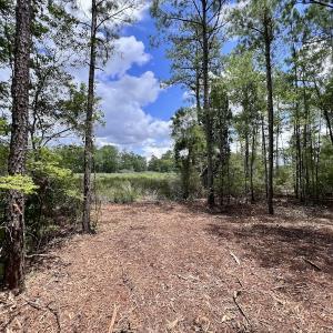 Photo #33 of 337 Pamlico Beach Rd, Belhaven, NC 1.8 acres