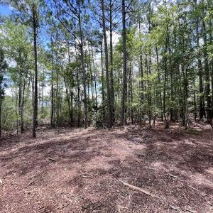 Photo #34 of 337 Pamlico Beach Rd, Belhaven, NC 1.8 acres