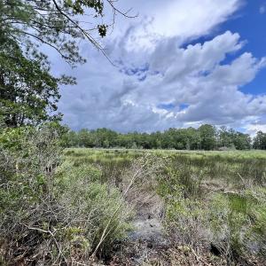 Photo #38 of 337 Pamlico Beach Rd, Belhaven, NC 1.8 acres