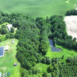 Photo #14 of Off Fox Run Drive, Pikeville, NC 1.9 acres