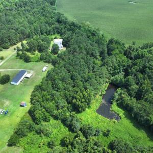 Photo #15 of Off Fox Run Drive, Pikeville, NC 1.9 acres